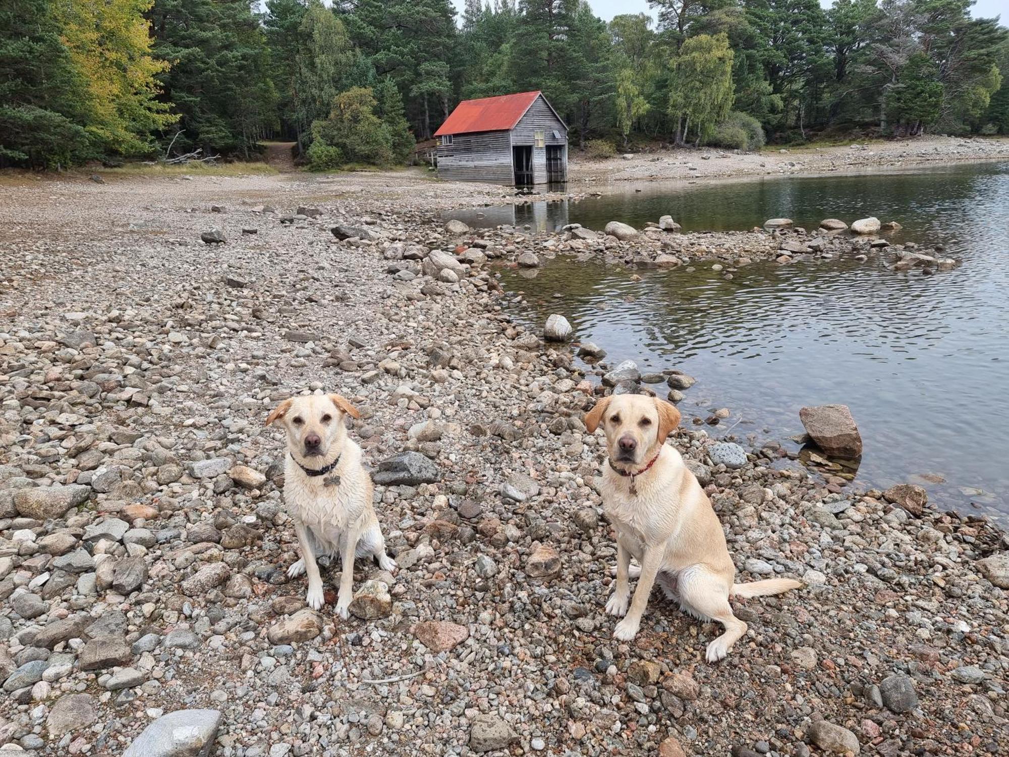 The Shelter Stone Cottage Aviemore Ngoại thất bức ảnh